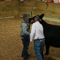 IMG_1218.JPG