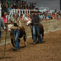 IMG_1238.JPG