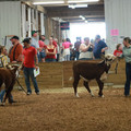 IMG_1241.JPG
