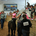 IMG_1244.JPG