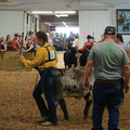 IMG_1257.JPG