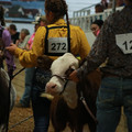 IMG_1259.JPG