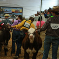 IMG_1260.JPG