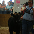 IMG_1275.JPG