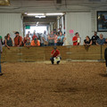 IMG_1279.JPG