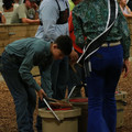 IMG_1319.JPG