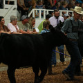 IMG_1336.JPG