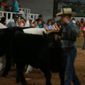 IMG_1337.JPG