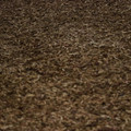 IMG_1340.JPG