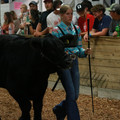 IMG_1351.JPG