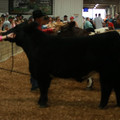 IMG_1360.JPG