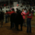 IMG_1371.JPG