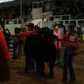 IMG_1372.JPG