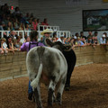 IMG_1400.JPG