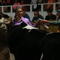 IMG_1427.JPG