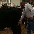 IMG_1433.JPG