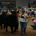 IMG_1467.JPG
