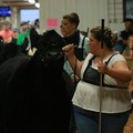IMG_1473.JPG