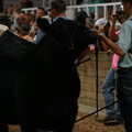 IMG_1475.JPG