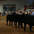 IMG_1477.JPG