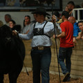 IMG_1487.JPG