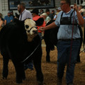IMG_1500.JPG