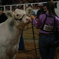 IMG_1506.JPG
