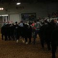 IMG_1513.JPG