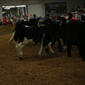 IMG_1519.JPG