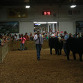 IMG_1522.JPG