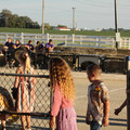 IMG_3107.JPG