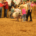 IMG_3186.JPG