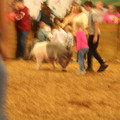 IMG_3187.JPG