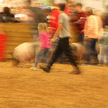 IMG_3188.JPG