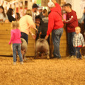 IMG_3190.JPG