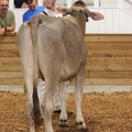 IMG_3243.JPG