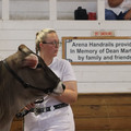 IMG_3250.JPG