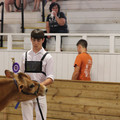 IMG_3251.JPG