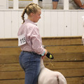 IMG_3256.JPG