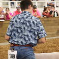 IMG_3289.JPG