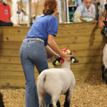 IMG_3293.JPG