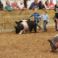IMG_3357.JPG