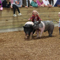 IMG_3363.JPG