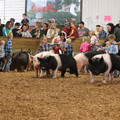 IMG_3365.JPG