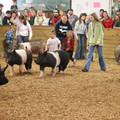 IMG_3366.JPG