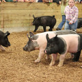 IMG_3371.JPG