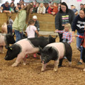 IMG_3375.JPG