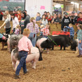 IMG_3377.JPG