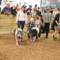 IMG_3378.JPG