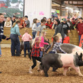 IMG_3381.JPG